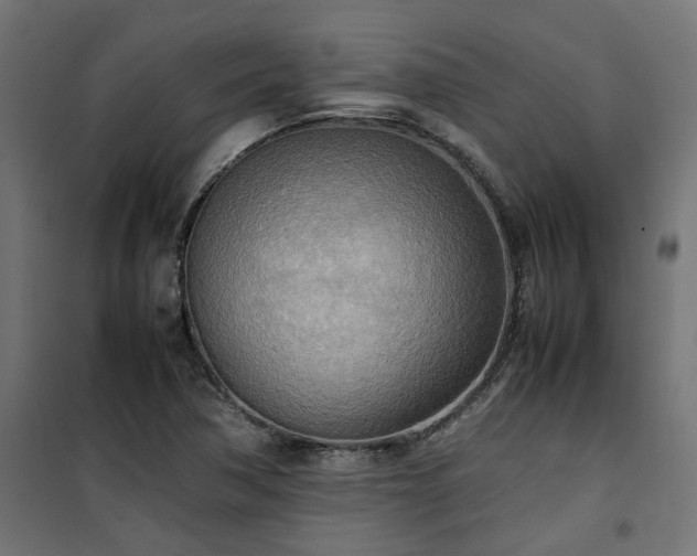 X0000100481362200806201620