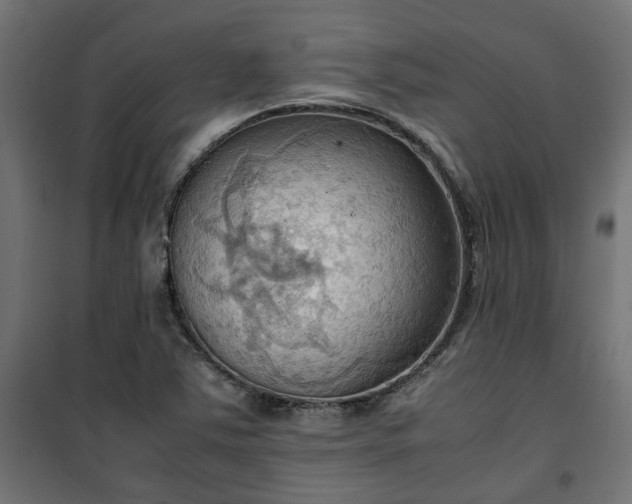 X0000100481363200806201620