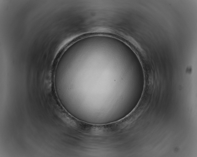 X0000100481364200806201620