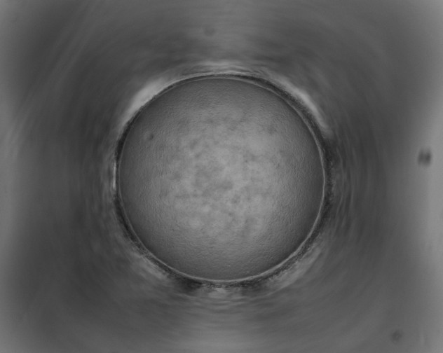 X0000100481365200806201620