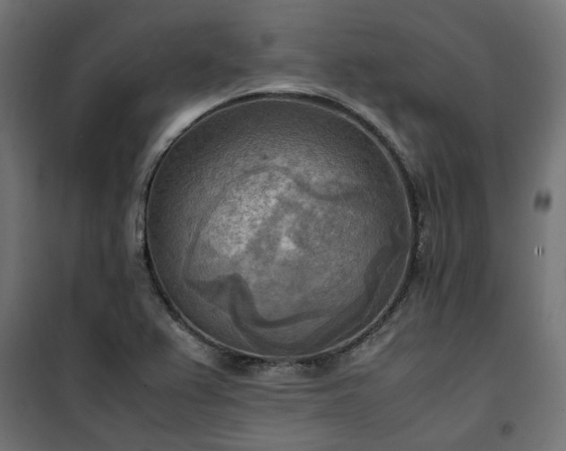 X0000100481367200806201620