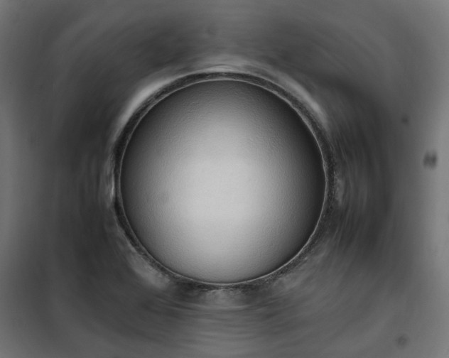 X0000100481368200806201620