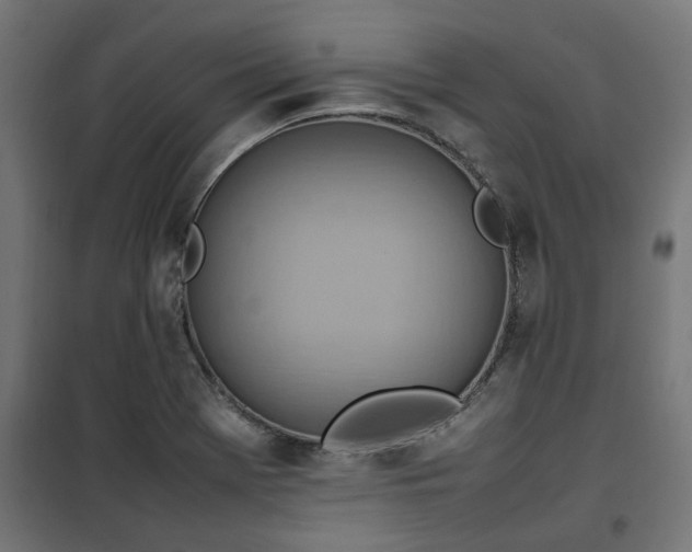X0000100481369200806201620