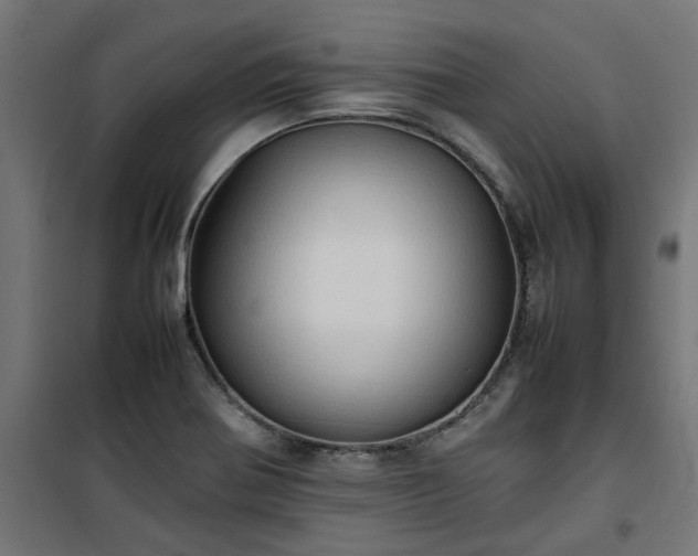 X0000100481370200806201620