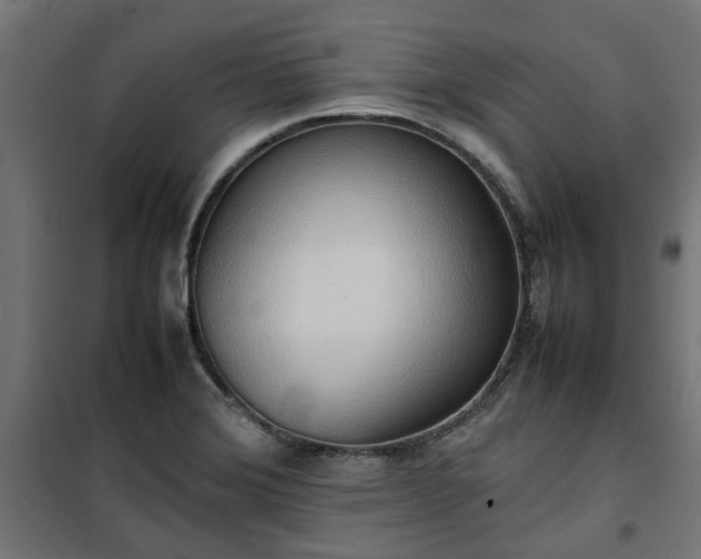 X0000100481372200806201620