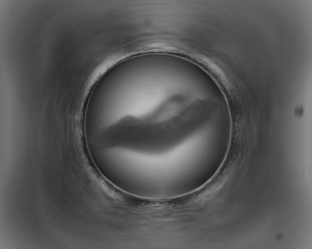 X0000100481373200806201620