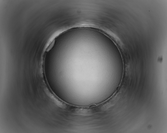 X0000100481374200806201620