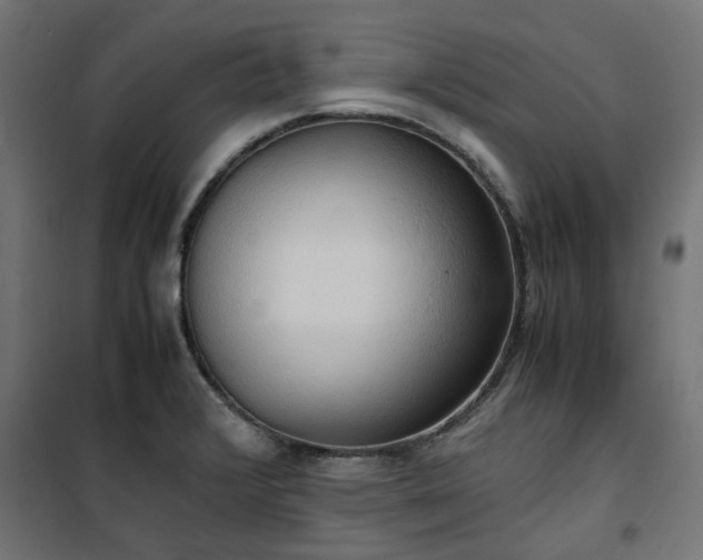 X0000100481376200806201620