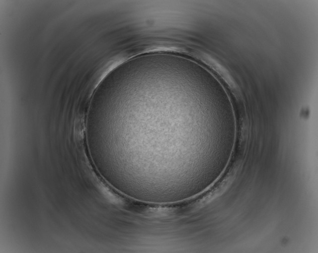 X0000100481377200806201620
