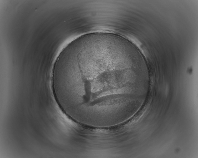 X0000100481379200806201619