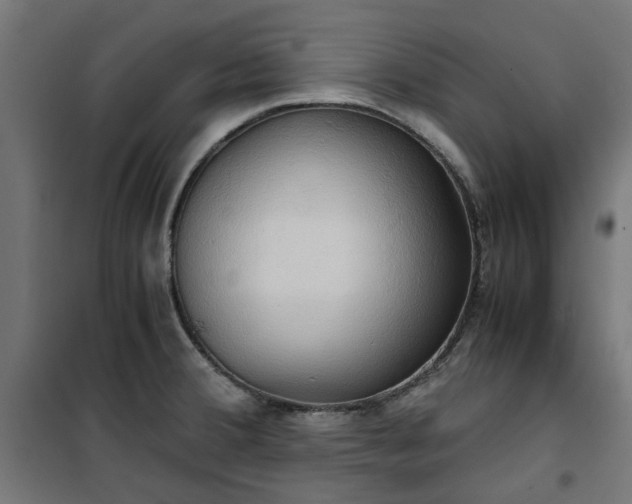 X0000100481380200806201619