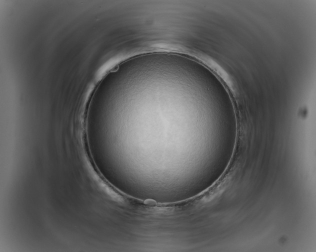 X0000100481381200806201619