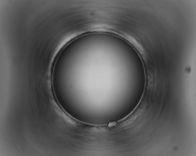 X0000100481384200806201619