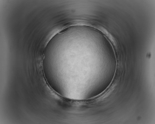 X0000100481385200806201619