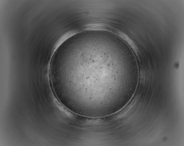 X0000100481386200806201619