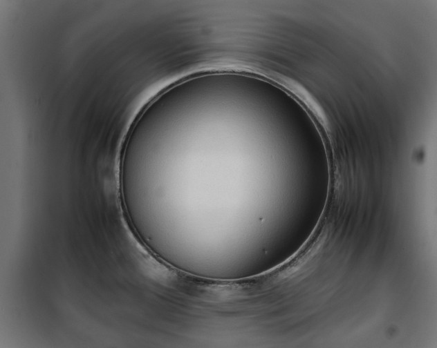 X0000100481388200806201619