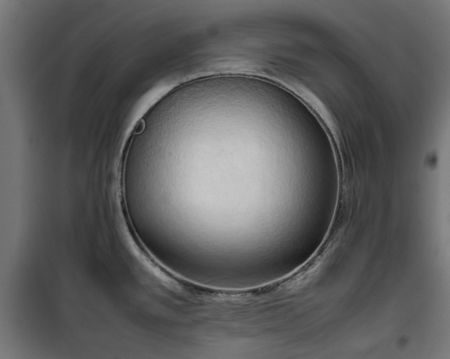 X0000100481389200806201619
