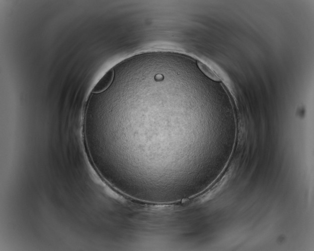 X0000100481390200806201619
