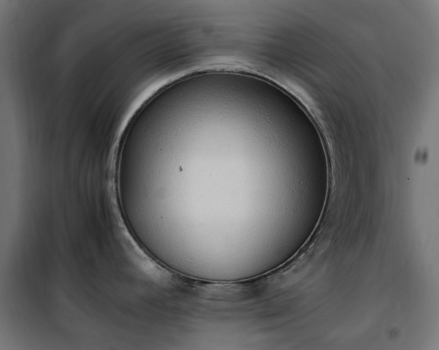 X0000100481392200806201619