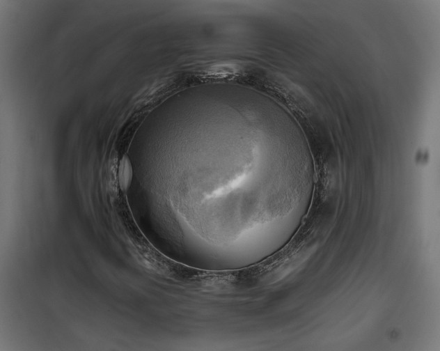 X0000100481394200806201618