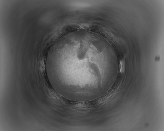 X0000100481395200806201618