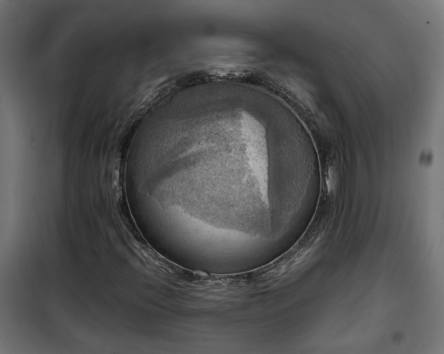 X0000100481396200806201618