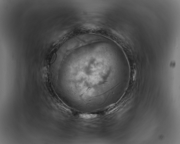 X0000100481397200806201618