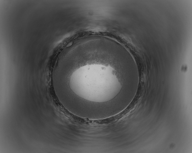 X0000100481398200806201618