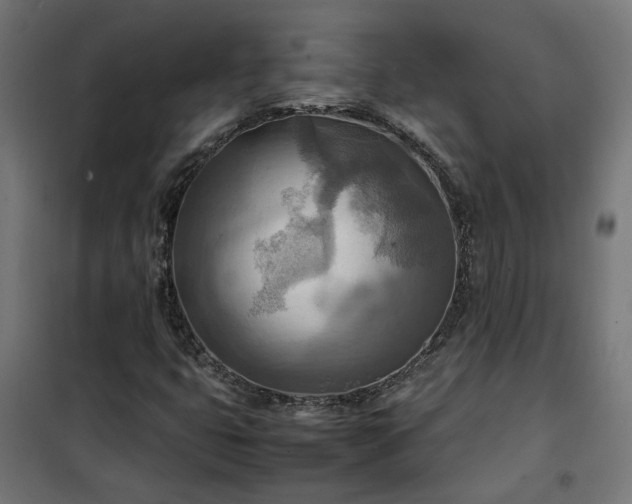X0000100481399200806201619