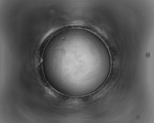 X0000100481400200806201619