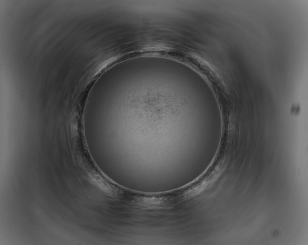 X0000100481401200806201619