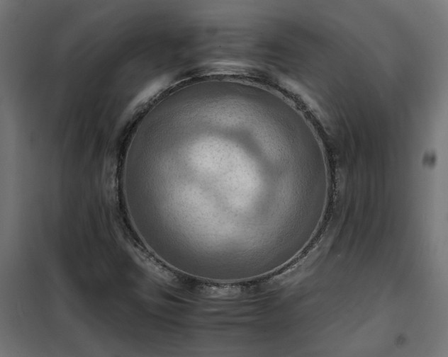 X0000100481403200806201619