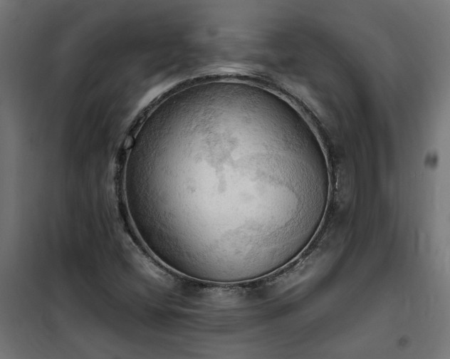 X0000100481404200806201619