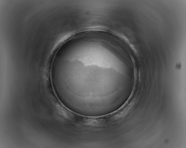 X0000100481405200806201619
