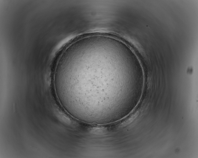 X0000100481406200806201619