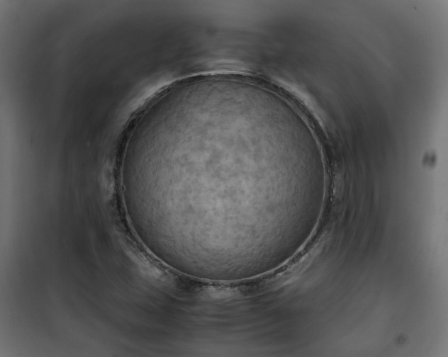 X0000100481407200806201619
