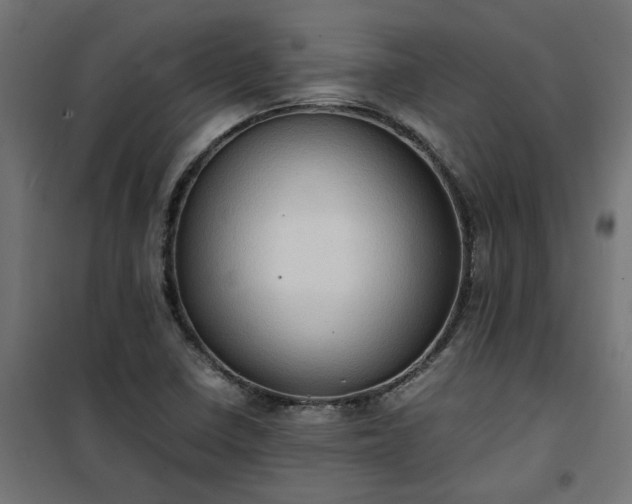 X0000100481410200806201619