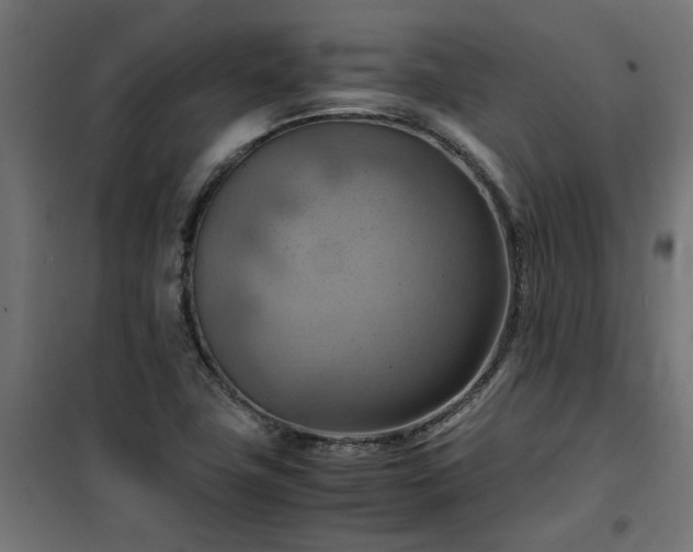 X0000100481411200806201619