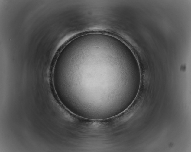 X0000100481412200806201619