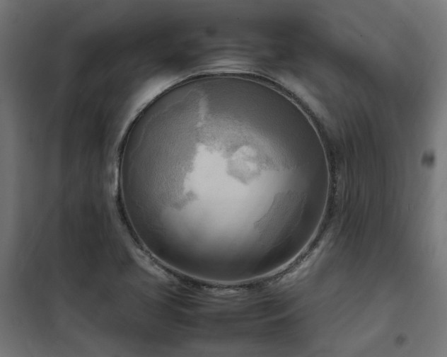 X0000100481413200806201619
