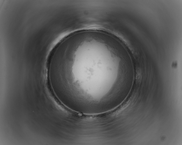 X0000100481414200806201619