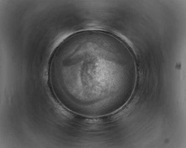 X0000100481415200806201619