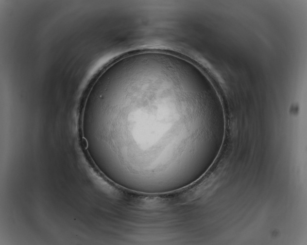 X0000100481416200806201619