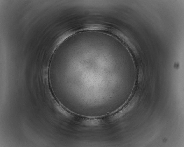 X0000100481417200806201619