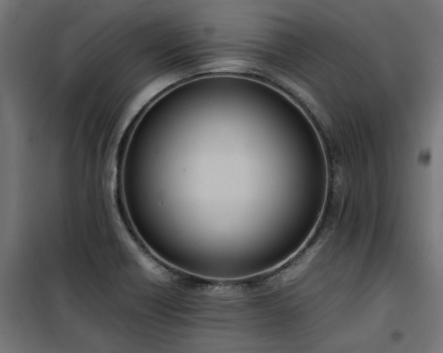 X0000100481418200806201619