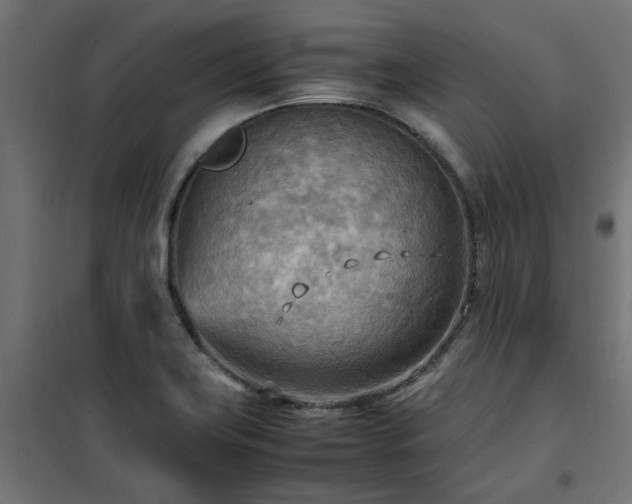 X0000100481419200806201619