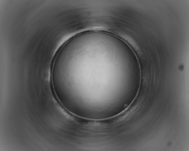 X0000100481420200806201619