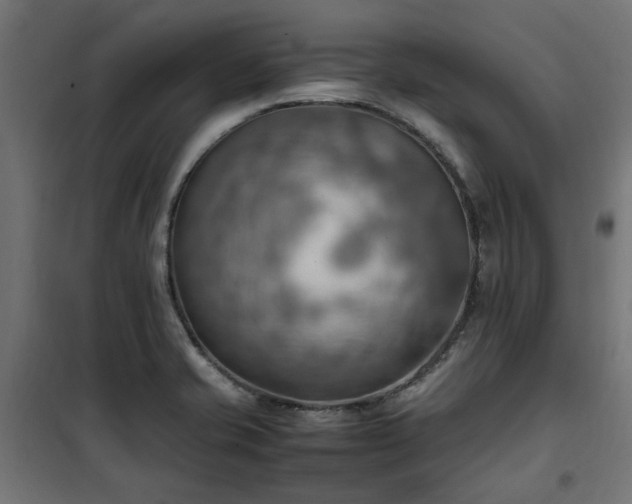X0000100481421200806201619