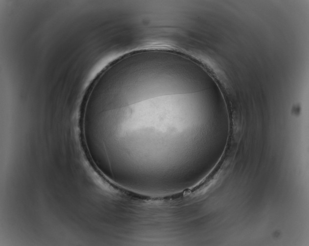 X0000100481422200806201619