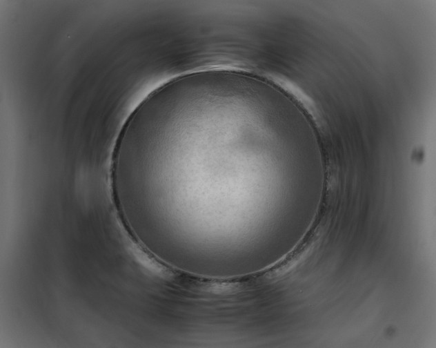 X0000100481423200806201619